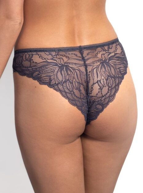 ProductMicrofiber And Lace Bikini Briefs DM-6304
