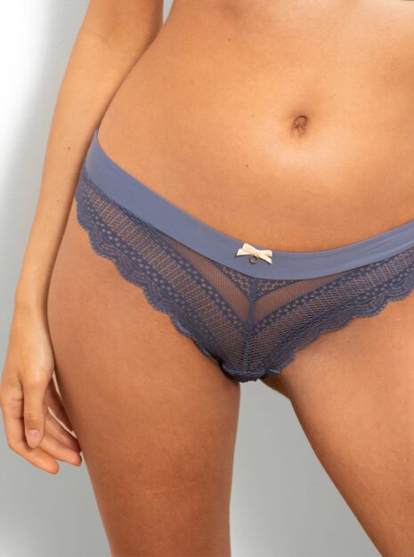 ProductLace and Microfiber Bikini Briefs DM-6294