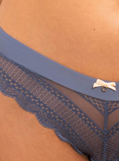 ProductLace and Microfiber Bikini Briefs DM-6294