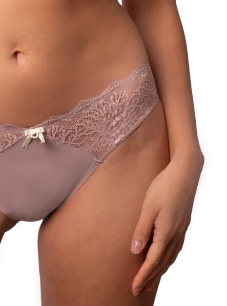 ProductLace Bikini Briefs DM-6309