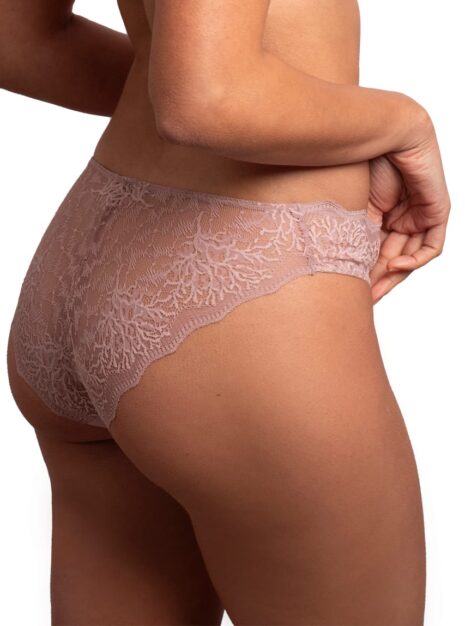 ProductLace Bikini Briefs DM-6309
