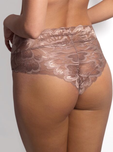 ProductHigh-Waist Briefs DM-6299
