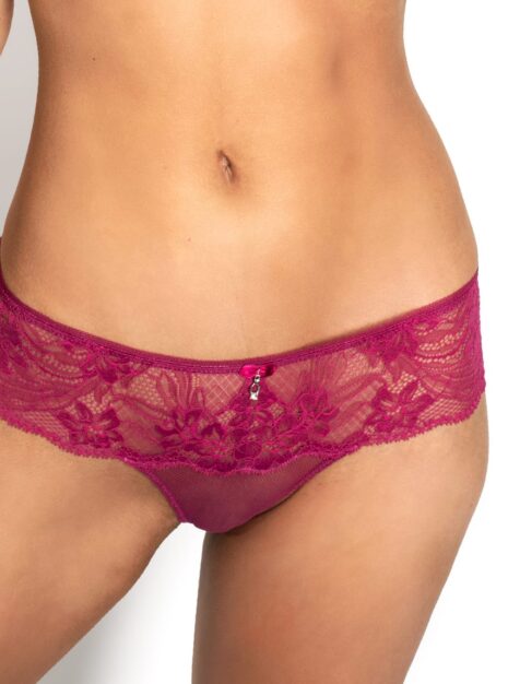 ProductBralizial Lace Bikini Briefs DM-6292