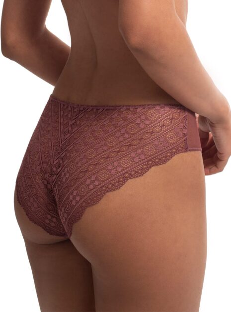 ProductLace Bikini Briefs With Mesh Insert DM-6296