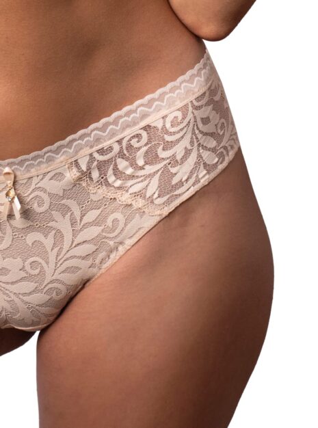 ProductSemi-transparent Bikini Briefs DM-6320