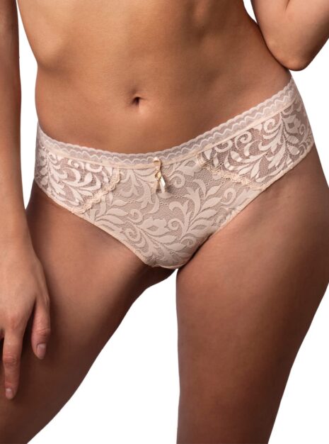 ProductSemi-transparent Bikini Briefs DM-6320