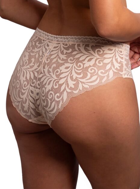 ProductSemi-transparent Bikini Briefs DM-6320
