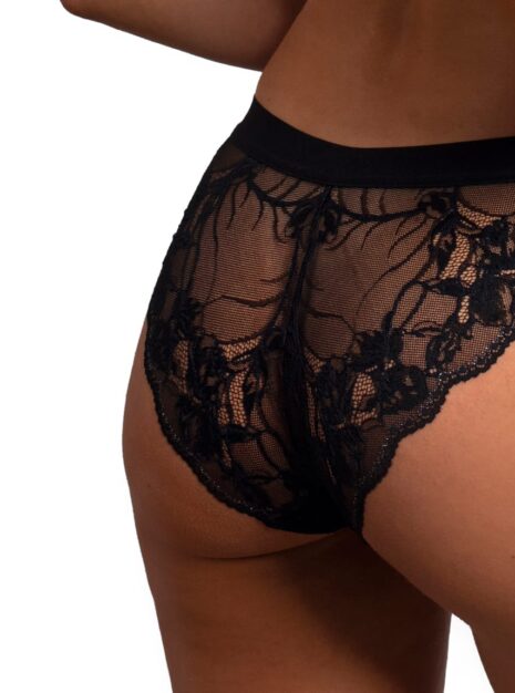 ProductLace Bikini Briefs DM-6334