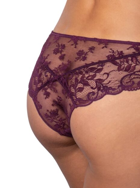 ProductFull lace brazilian briefs DB-6347