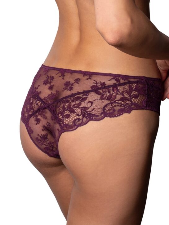 ProductFull lace brazilian briefs DB-6347
